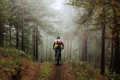 Man riding bicycle in forest