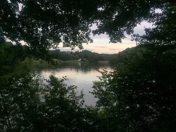 Scenic view of lake in forest against sky