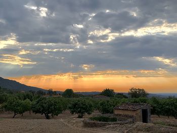 Scenic view of landscape against sky during sunset