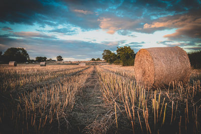 Hay bales on field against sky