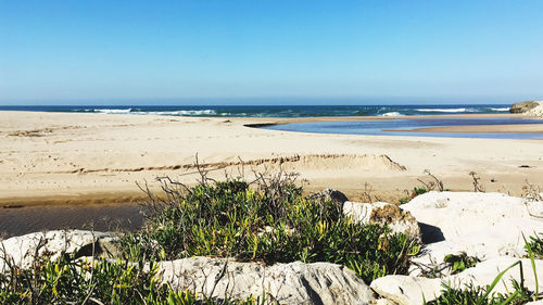 Scenic view of beach against clear blue sky