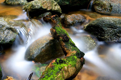 Scenic view of waterfall