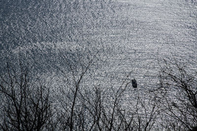 High angle view of bird in water