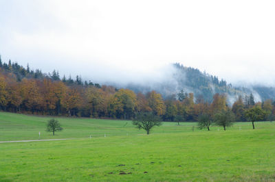 Trees on field against sky during autumn