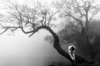 Man sitting on tree during foggy weather