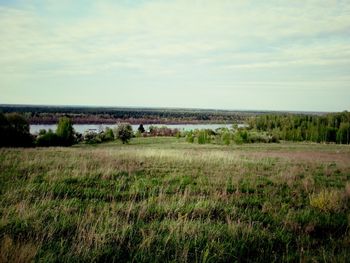 Scenic view of grassy field against sky