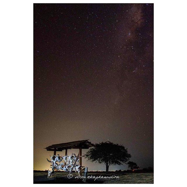 transfer print, auto post production filter, copy space, tree, clear sky, built structure, night, sky, building exterior, architecture, low angle view, nature, outdoors, tranquility, no people, beauty in nature, scenics, tranquil scene, house, blue