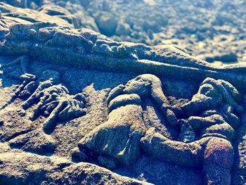 Close-up of sculpture on beach