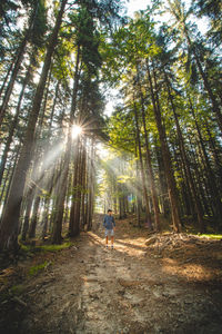 Man in a shirt walks through a healthy forest with crisp air and sunlight breaking through the fog