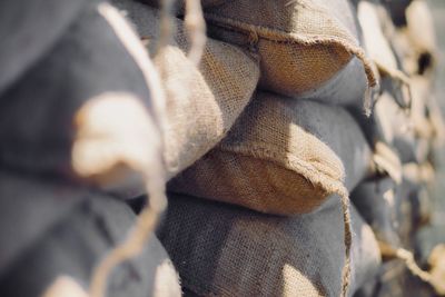 Close-up of person holding leaf