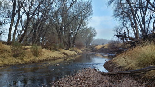 Scenic view of river against sky