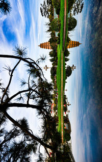 View of palm trees against sky