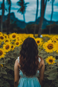 Rear view of woman standing against sunflowers