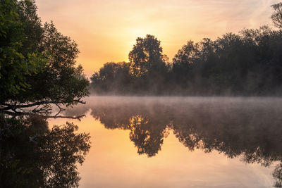 Trees by lake against sky during foggy sunrise at summer