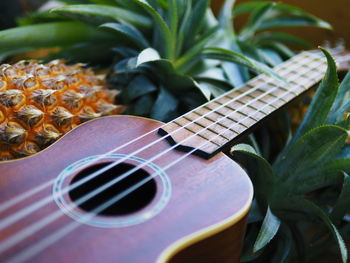 Close-up of guitar