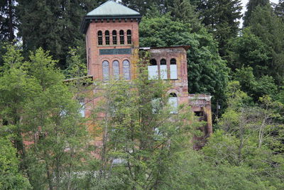 Old building in forest