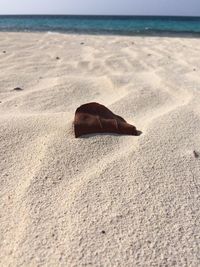 Close-up of sand on beach against sky