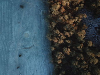 Aerial view of sea by land