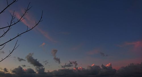 Trees against sky during sunset