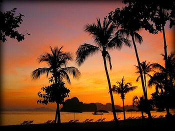 Silhouette of palm trees at sunset