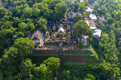 High angle view of trees and plants outside building