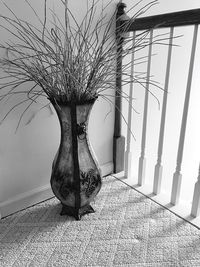 Bare tree branch
