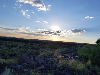 Scenic view of field against sky during sunset