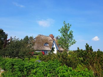 House amidst trees and plants on field against sky