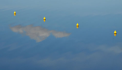 Low angle view of balloons against sky