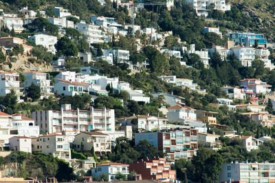 Buildings in city