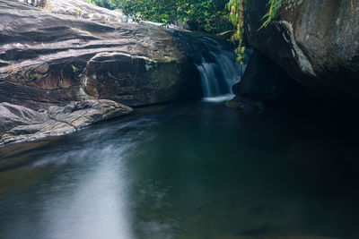 Scenic view of waterfall in forest