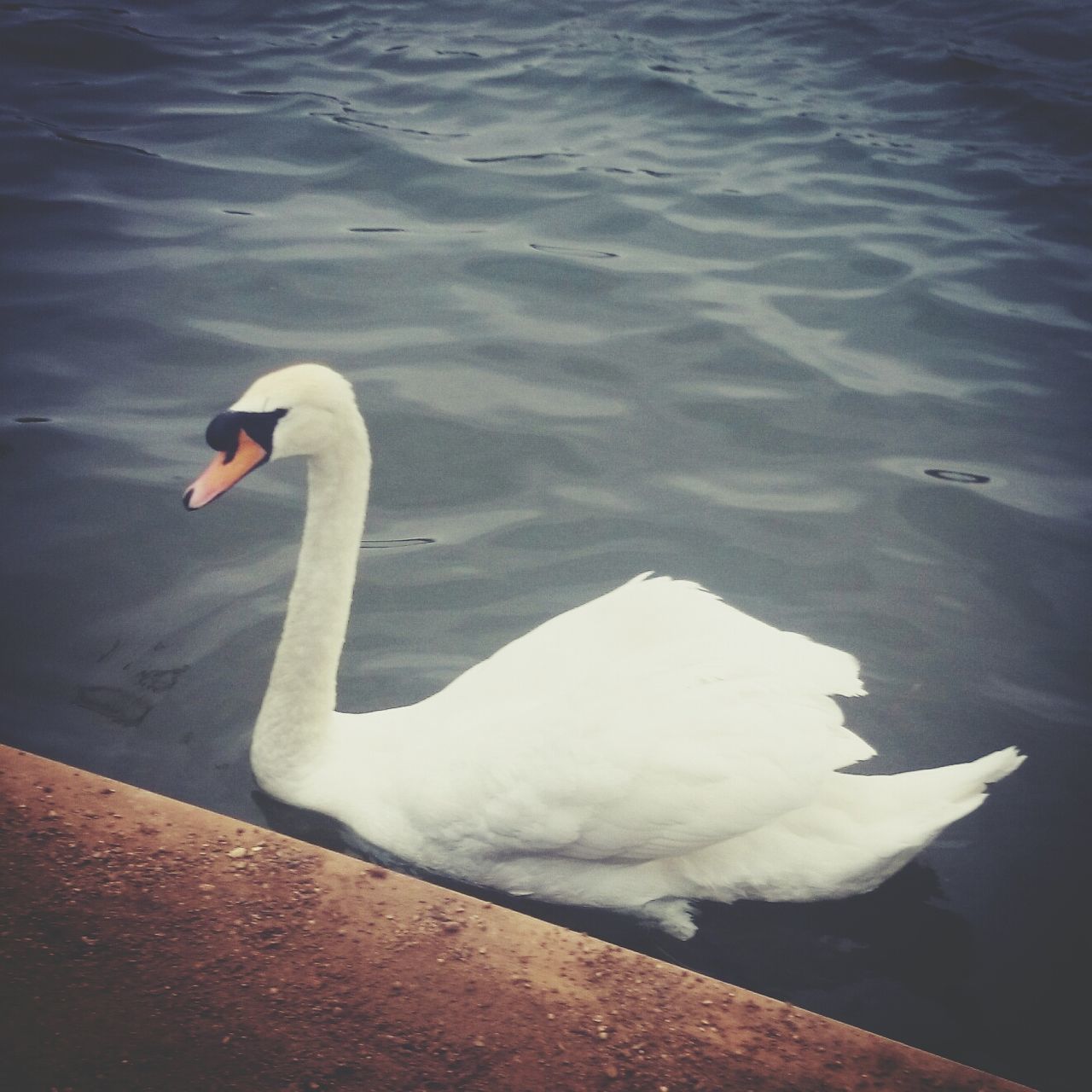 Bedfont Lakes Country Park