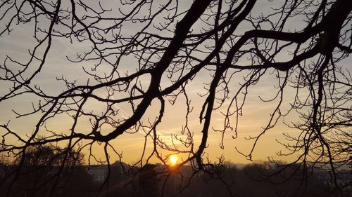 Low angle view of silhouette bare trees against sky