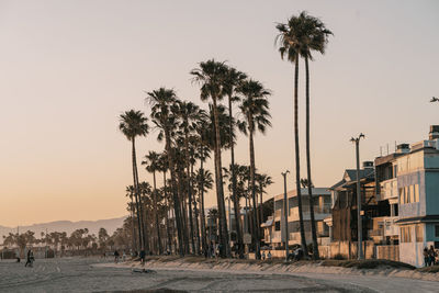 Palm trees at beach against sky during sunset