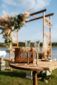 Close-up of potted plant on table