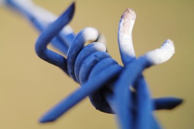 Close up of blue paint