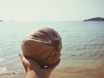 Midsection of person holding apple at beach against sky