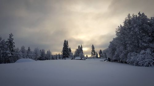 Snow covered land and trees against sky