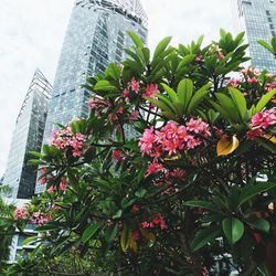 Low angle view of plants growing against sky