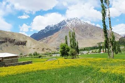 Scenic view of landscape against cloudy sky