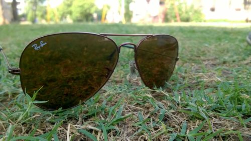 Close-up of sunglasses on grassy plant