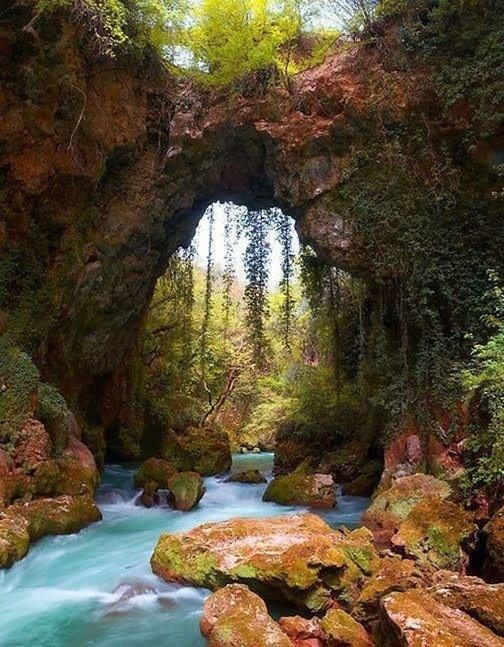 water, rock - object, tree, beauty in nature, scenics, nature, waterfall, flowing water, tranquility, rock formation, stream, tranquil scene, forest, flowing, rock, river, growth, idyllic, non-urban scene, day