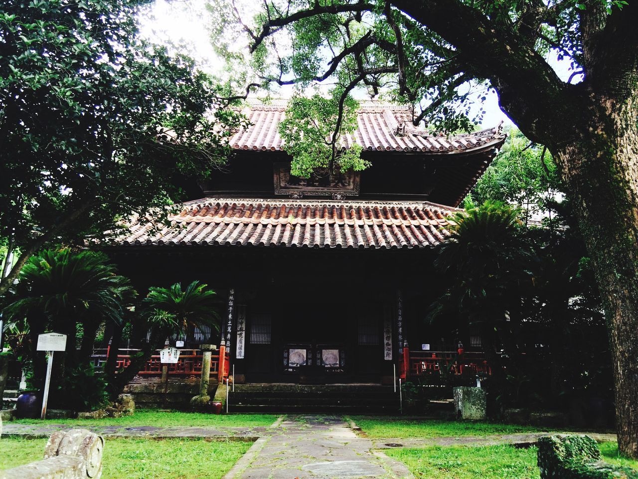 building exterior, architecture, built structure, tree, house, residential structure, door, residential building, grass, facade, entrance, exterior, roof, growth, outdoors, window, day, green color, sunlight, plant