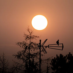 Low angle view of silhouette bird against sky during sunset