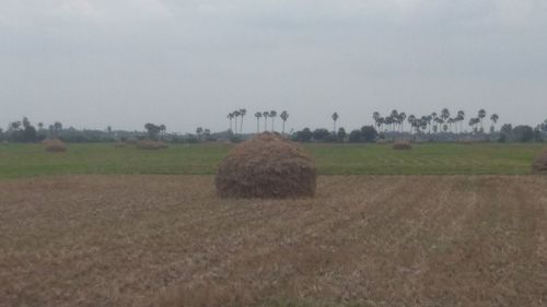 Hay bales on field against sky