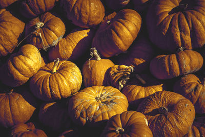 Full frame shot of pumpkins