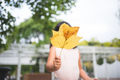 Cropped image of woman holding maple leaves
