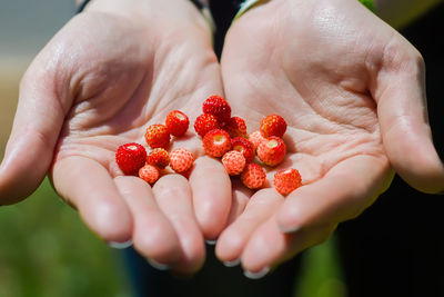 Wild strawberries in the palms