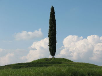 Scenic view of land against sky