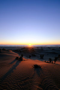 Scenic view of beach against sky during sunset